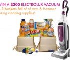 Win A $300 Electrolux Vacuum in Our Spring Greening Giveaway!