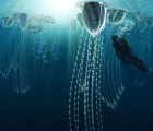 Underwater Ocean City for a Future Australia