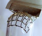 Scientists Develop Silk Implant That Melts Onto Brain’s Surface
