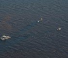 Hyper-Absorbant Peat Moss Could Clean Up Oil Spills Like Louisiana’s