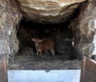 Tiny Hut in Spain Built with Concrete and a Cow