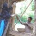 straw bail, straw bail building, Pakistan building, earthquake resistant building, handmade straw bales, PAKSBAB, Renewable building materials, Green building, affordable earthquake building
