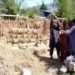 straw bail, straw bail building, Pakistan building, earthquake resistant building, handmade straw bales, PAKSBAB, Renewable building materials, Green building, affordable earthquake building