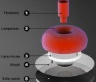 Ripe Radish Solar Lamp Grows Garden Greens