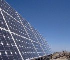 Purple Pokeberries Could Provide Low-Cost Solar for Developing Nations