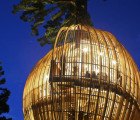 Incredible Yellow Treehouse Restaurant Rises Above New Zealand