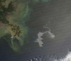 “Rock Breathing” Bacteria Could Help Soak Up Oil Spill in Gulf