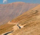 Persian Gulf Harnessing Microbes to Transform Desert into Farmland