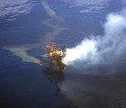 Naturally Occuring Bacteria Could Help Clean Oil Spill