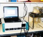 First Glucose Biofuel Cell Paves Way for Body-Powered Electronics