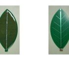 Greendix Develops First Leaf-Shaped Crystalline Silicon Solar Panels