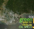 5 Innovative Solutions That Clean Up Oil Spills