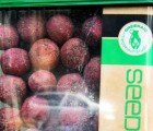 First Seedbomb Vending Machine Lands in San Francisco!