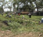 VIDEO: Added Value Empowers New York’s Youth With Urban Farming