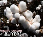 The Top 12 Brands and Retailers Scooping Up Organic Cotton