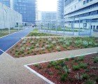 Copenhagen Adopts a Mandatory Green Roof Policy