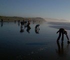 BP Refuses to Use Donated Hair Mats to Clean Up Oil Spill