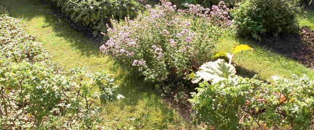 green garden, farmer's almanac, weather.com, almanac.com, Herb Garden app, Flower Garden App, iGarden USA app, gardening apps, greener gardens, how to grow a garden, fruit garden, vegetable garden, local food, herb garden, EasyBloom Plant Sensor, plant sensors, green tech