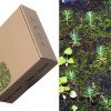 Life Box: Paul Stamets Unveils Brilliant Seed-Sprouting Cardboard Box
