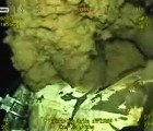 Gulf Oil Cap Back On After Being Removed Due to Robot Blunder WTF?