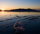 California Assembly Votes to Ban Single-Use Plastic Grocery Bags