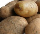 Researchers Develop Potato Powered Batteries