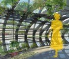 Bug-Like Urban Gardens Filter Water and Air in Skyscrapers