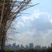 metropolitan museum of art, met, art installation, bamboo, starn brothers, bamboo scaffolding, bamboo installation, eco art, green design, sustainable building, renewable materials, art, nyc, new york city, green materials