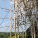 metropolitan museum of art, met, art installation, bamboo, starn brothers, bamboo scaffolding, bamboo installation, eco art, green design, sustainable building, renewable materials, art, nyc, new york city, green materials