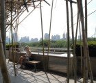 Stunning Bamboo Forest Continues to Grow Atop Met Museum