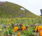 Architect Magazine Unveils Top Green Achitecture List!