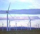 Half of New Energy Produced in the US Last Year Was Green