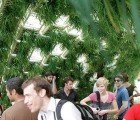 Green-Walled Living Pavilion Garden Sprouts on Governors Island