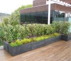 Movable Modular Planters and Green Walls by Maximize Design
