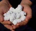 Oil-Trapping “Smart Sponges” Could Clean up the Gulf Spill