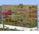 Six-Story Vertical Garden Sprouts in San Vicente Town Square