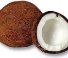 Natural Packaging: The Coconut Husk Solves Shipping Problems!