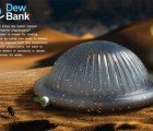 Beetle-Inspired Bottle Harvests Drinking Water From Thin Air