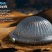 dew bank, water, fog, beetle, harvesting, collecting, desert, nomad, eco, green, sustainable, design, IDEA Awards, biomimicry, water bottle