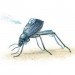 dew bank, water, fog, beetle, harvesting, collecting, desert, nomad, eco, green, sustainable, design, IDEA Awards, biomimicry, water bottle
