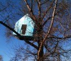 Warsaw Library Sprouts a House on a Tree
