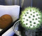 LIVE LAMP is a Plant-Studded Sphere of Light