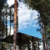 Stunning Swedish Treehotel Opens This Weekend!