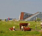 8 Tallet: Green-Roofed Eco Village in Denmark
