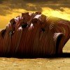 In Vitro Habitat: a House Made of Meat!