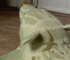 Kitschy Faux Bear Skin Rugs Are Perfect for Animal Lovers!