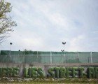 Graffiti Art by D.O.C.S. Takes Inspiration from Nature