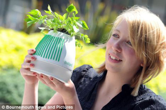 disability, gardening, smart pot, potted plants, natalie king, handicapped access, indoor plants, sustainable design