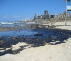 Oil-Eating Microbes Successfully Clean Up Mumbai Oil Spill
