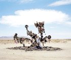 Sea Change Environmental Photography at Wassaic Project